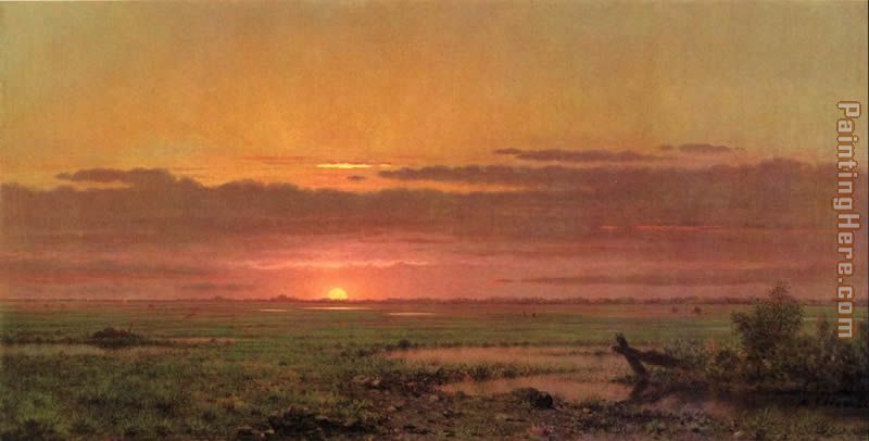 Sunset Marshland, New Jersey